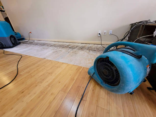 Professional Structural Drying technician working in Welches, OR